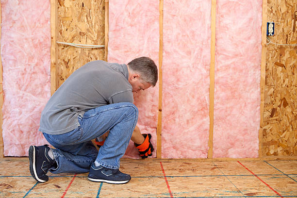 Best Commercial Insulation Services  in West Unity, OH